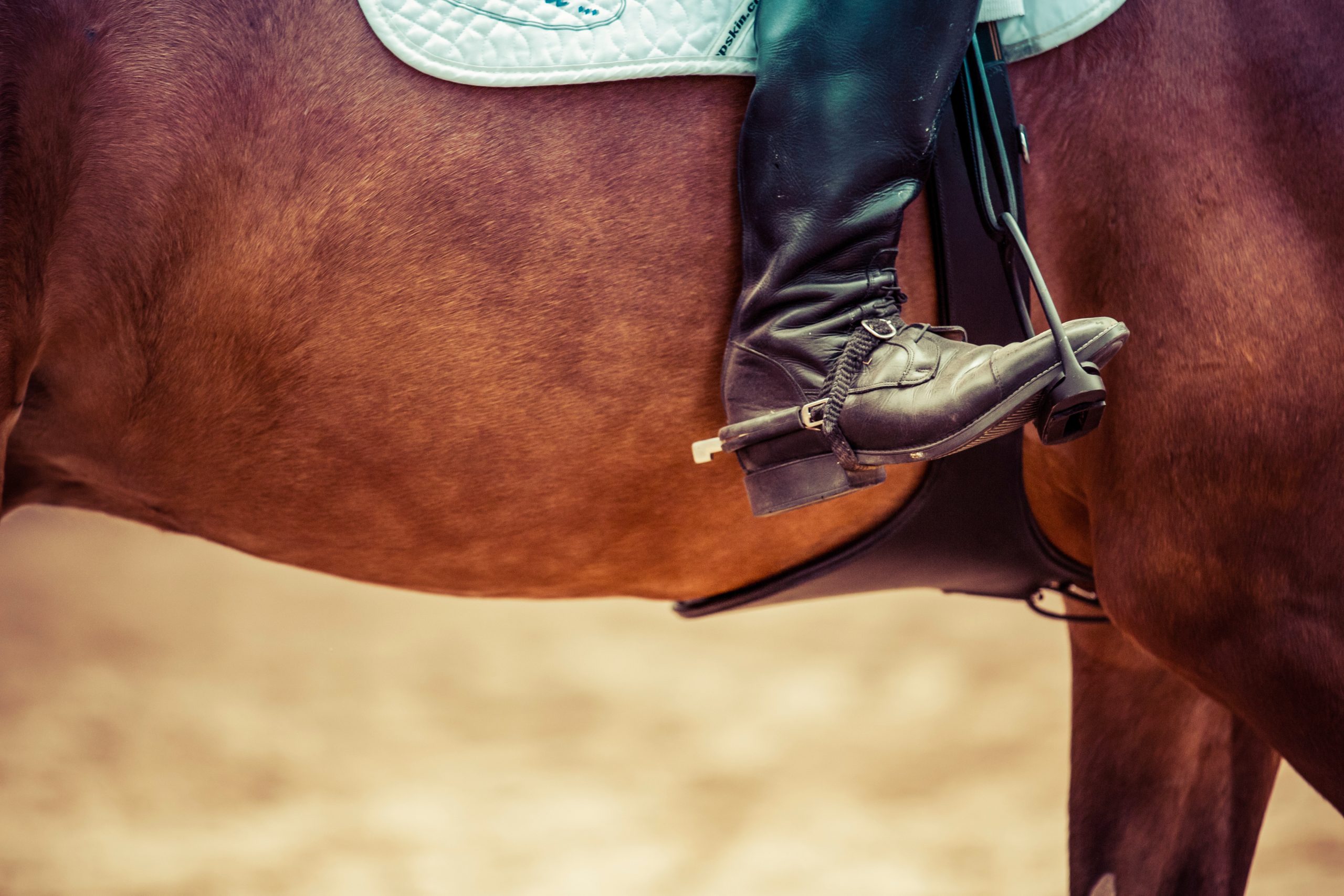 Horse Riders Have The “Right Stuff”