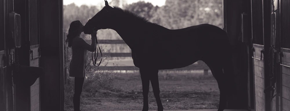Equine Elegance: A Guide to Happy & Healthy Horse Care