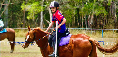 Equestrian Training in Tallahassee | Spring at Cavallo Farms